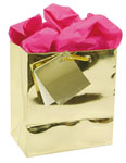Gold Metallic Glossy Bag Series 