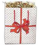 Red Bow Glossy Bag Series 