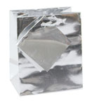 Silver Metallic Glossy Bag Series 